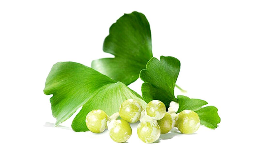 Ginkgo biloba u Osteflexu